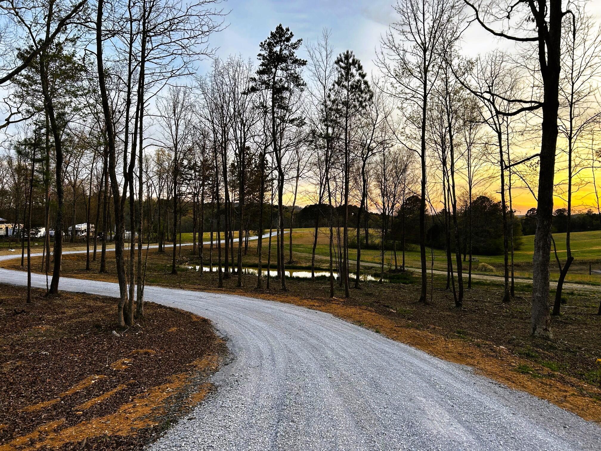 Image 1: Lamontville Driveway main