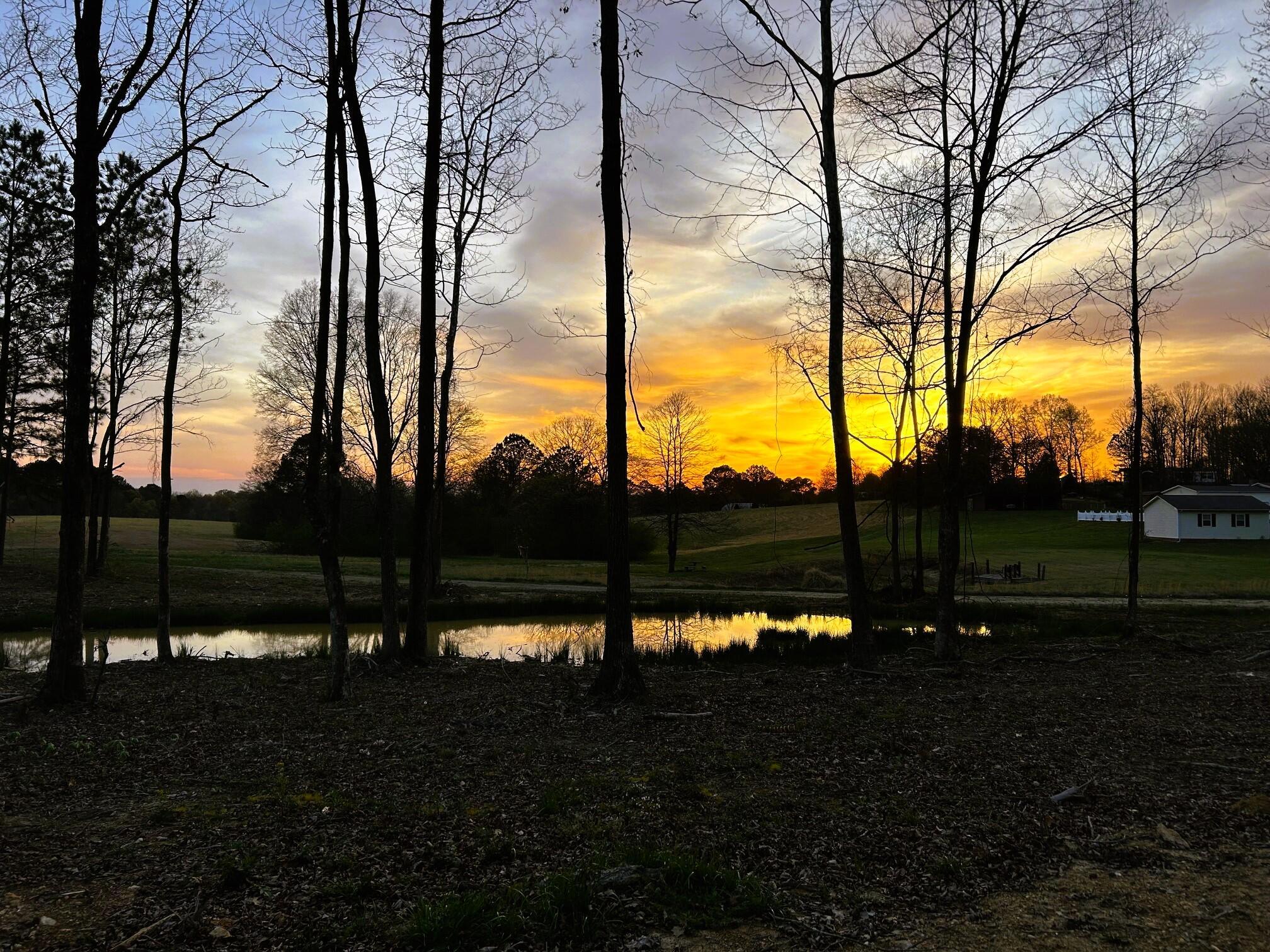 Image 2: Lamontville at dusk over the pond