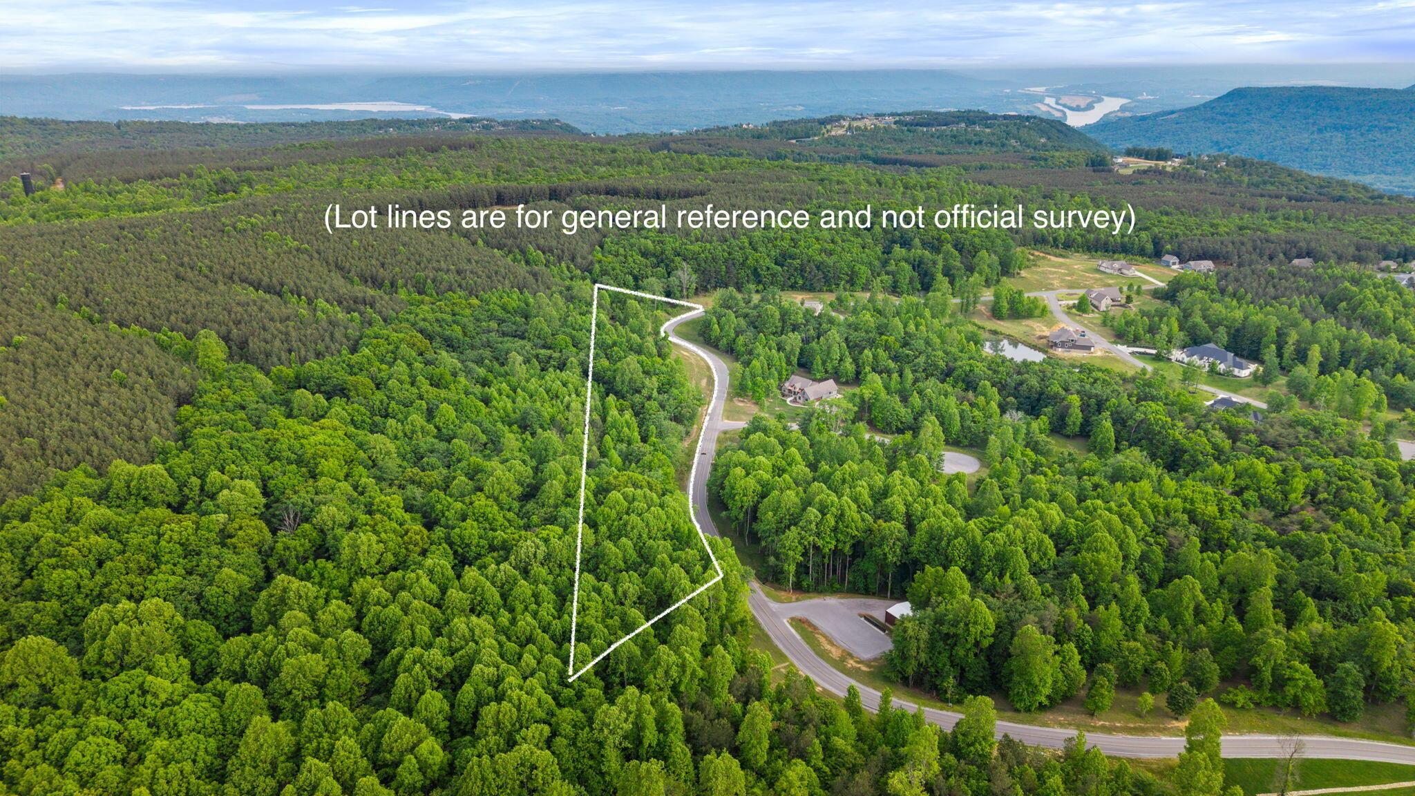 Image 2: Aerial with boundary lines