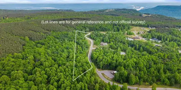 Image 2: Aerial with boundary lines