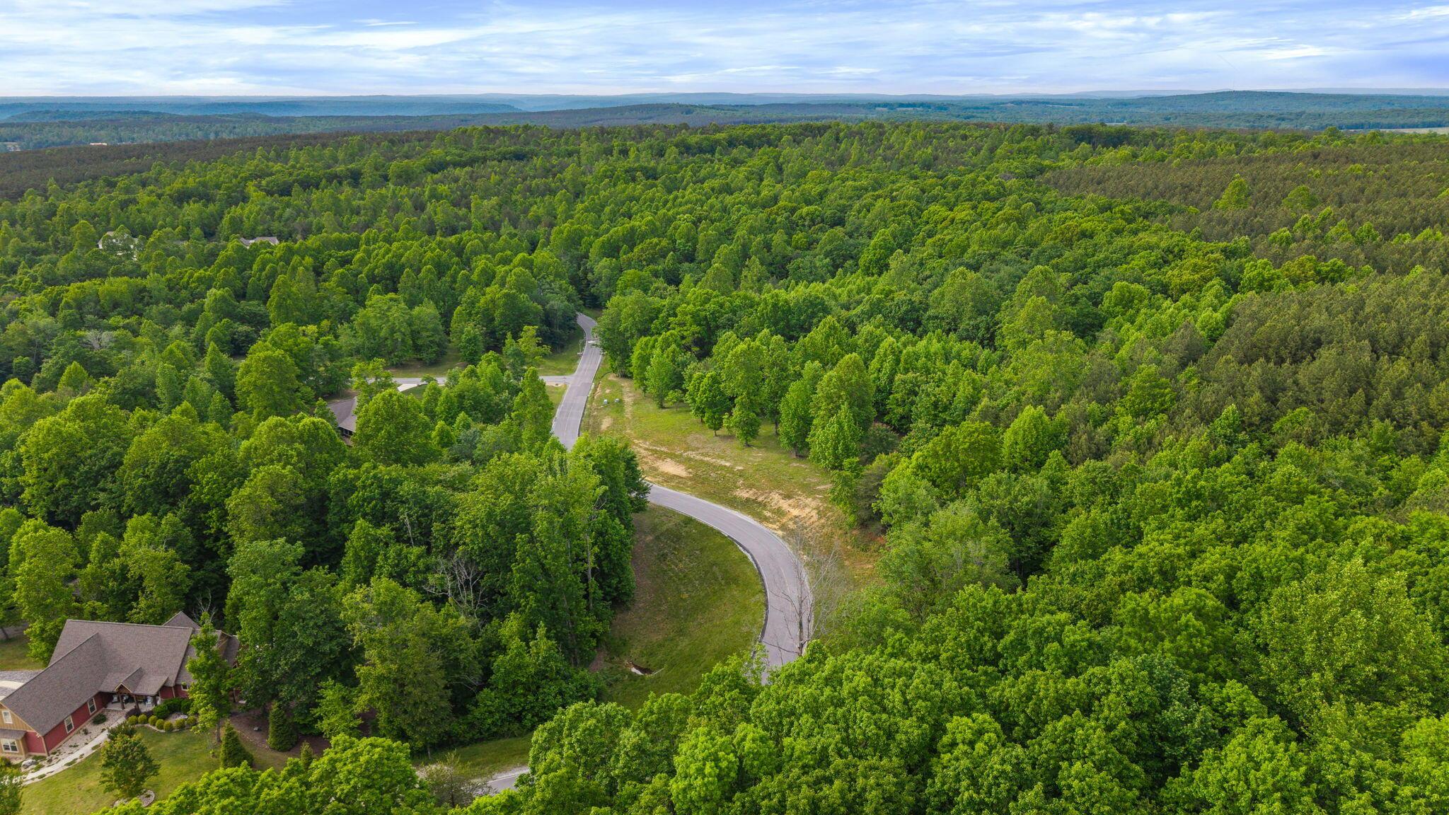 Image 3: Aerial