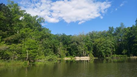 Lot 4 Warren Lane