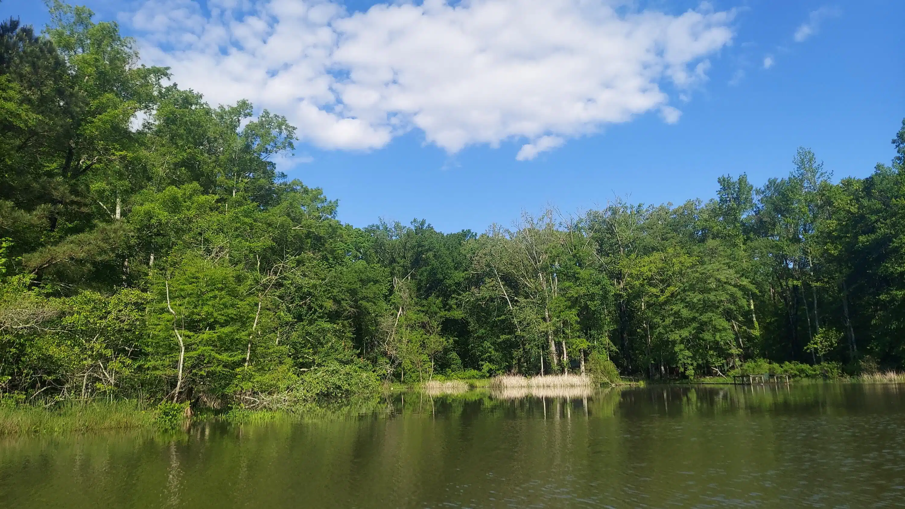 Image 1: View West from Slough