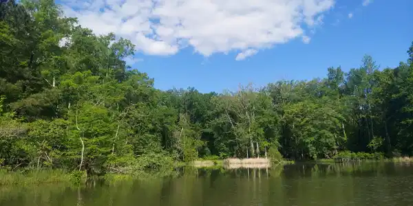 Lot 4 Warren Lane