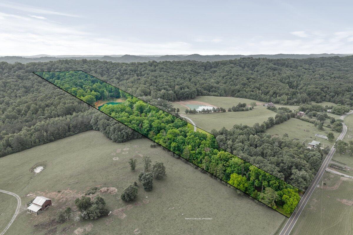 Image 3: 499 Co Rd 740-44