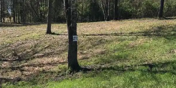 10 Piney View Drive