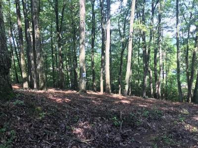 25 Piney Knob Drive