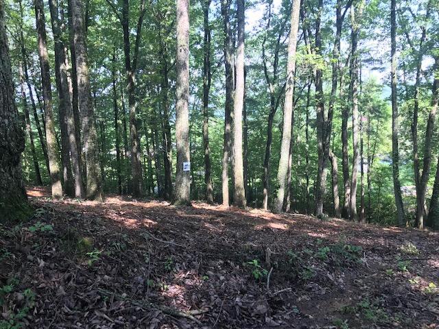Image 1: IMG_0489 (1)