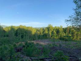 000 Pond Ridge Rd