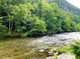 ??? Cherohala Skyway