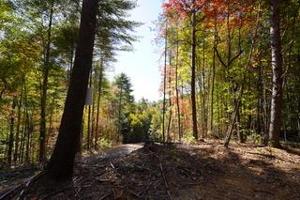 1167 Towee Pike