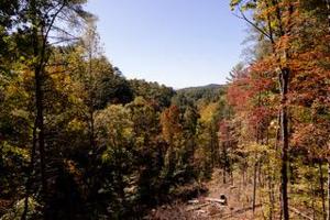 1197 Towee Pike