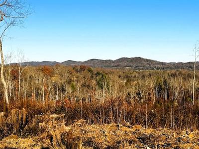 16.67 Ac Euchee Road
