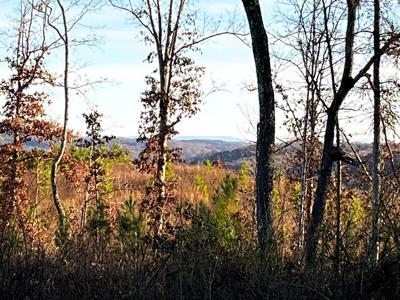 16.75 Ac Euchee Road