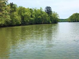 Lot 5 County Road 8