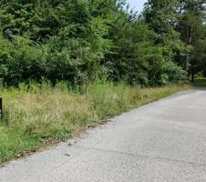 LOT #19 Randolph Lane