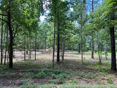 Lot 2 County Road 950