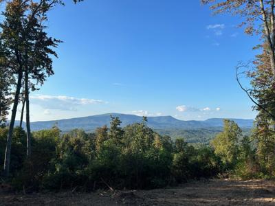 Lot 1-A Chestnut Mountain Road