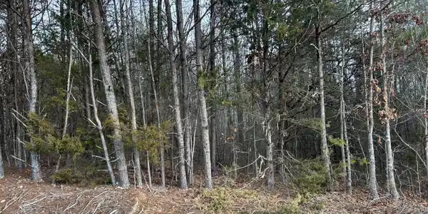 0 Parker Loop Road