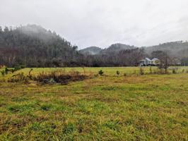 Lot 49 Morning Dunn Drive
