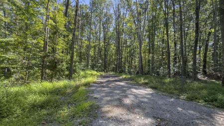 28.6 Acres Clifton Cemetery Road
