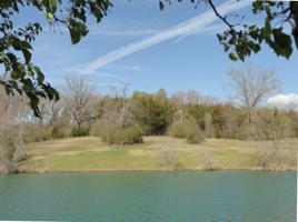 Lot 19 Pinhook Road