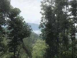 5 ac Chestnut Road