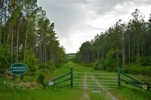 Lot 1>  5 acres County Road 950
