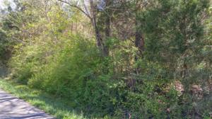 Lot # 69 Hiwassee Drive