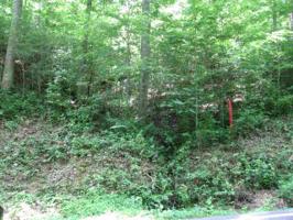 000 Tellico Reliance Rd. NW