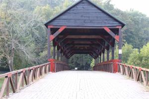 Lot 4 Rafter Road