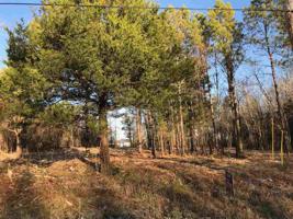 Lot 53 Hiwassee Circle