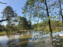 482 Hiwassee Drive