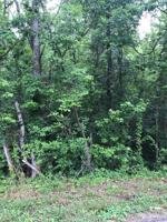 Lot 54 Holly Glen Lane