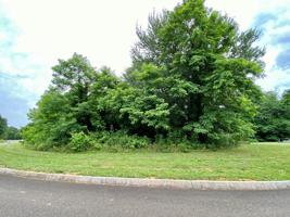 Lot 81 Falcon Trail