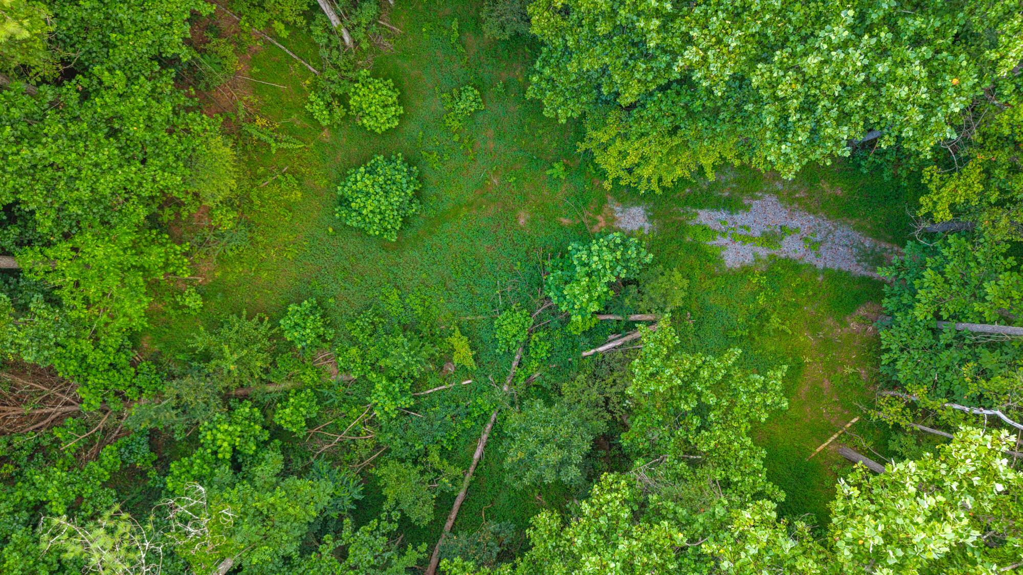 Image 3: Kutler Sells Butler-8