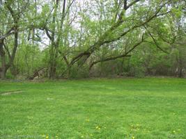 00 Orchard Lake