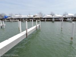 41700 CONGER BAY DR LEXINGTON 84