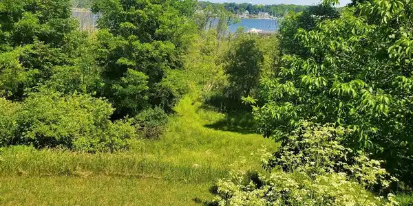 Lot 2 Old Channel Trail
