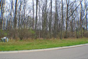 3541 Woodridge Drive