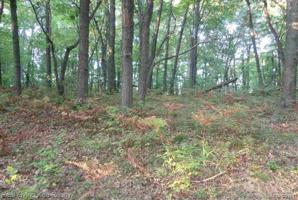 Lots 18, 19, 20 Mary Anne Lane
