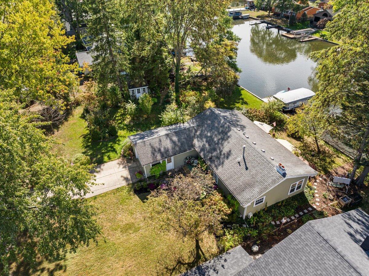 Image 4: 17-11040 Colony-17