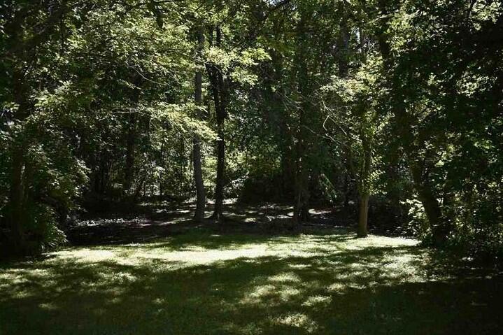 Image 4: Rear Lot - Wooded Views