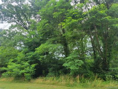 Lot 32 - Pinemont
