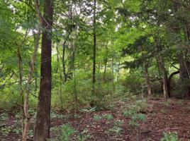 Lot 57 S Rea Avenue