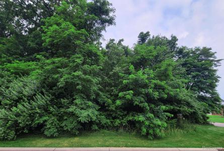 Lot 12 Wyndam Lane