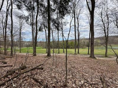 Unit 19 Forest Trail