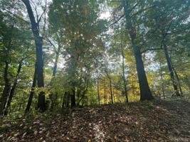 000 Forest Lake Boulevard