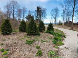 8391 LAKESHORE