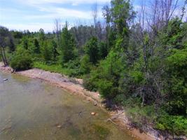 TBD Sunshine Trail